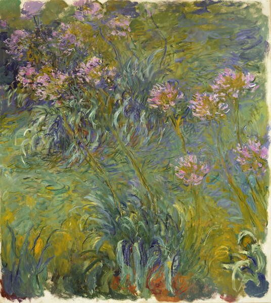 Claude Monet - Umelecká tlač Agapanthus, 1914-26, (35 x 40 cm)