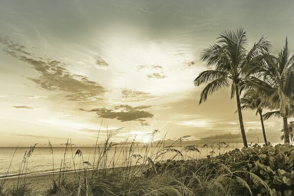 Umelecká fotografie BONITA BEACH Sunset | Vintage, Melanie Viola, (40 x 26.7 cm)