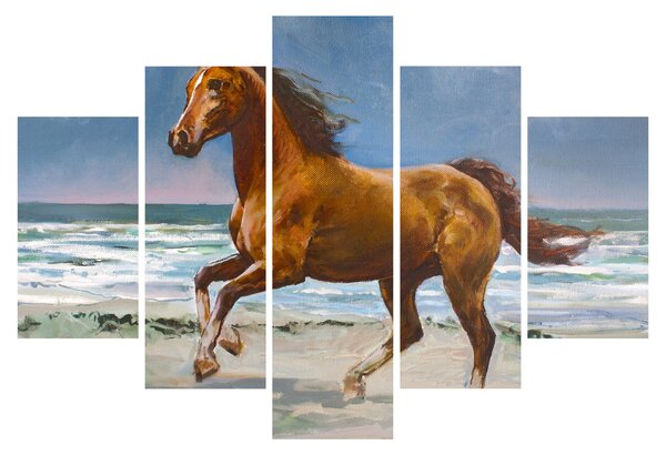 Obraz koňa na pláži (150x105 cm)