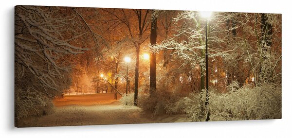 Obraz - Zasnežený park (120x50 cm)