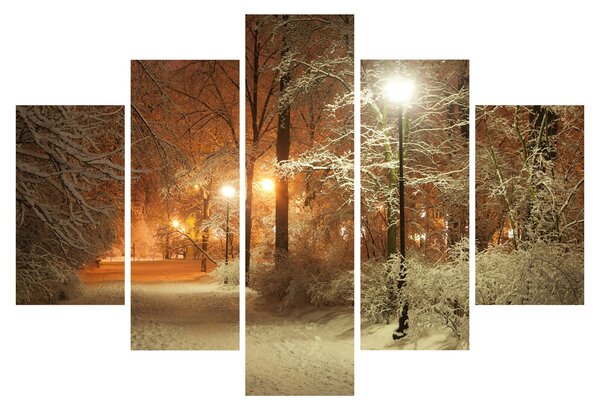 Obraz - Zasnežený park (150x105 cm)