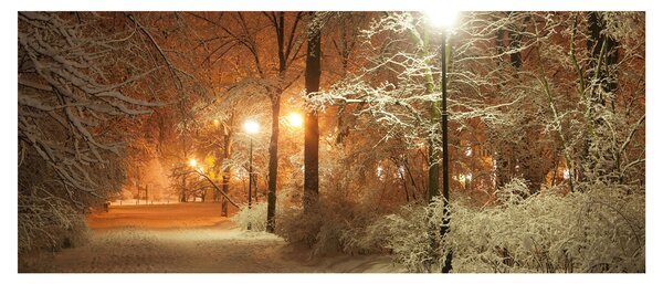 Obraz - Zasnežený park (120x50 cm)