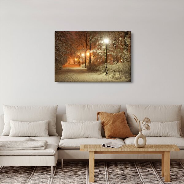 Obraz - Zasnežený park (90x60 cm)