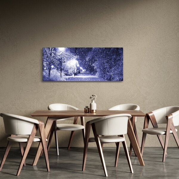 Obraz - Čarovná zimná noc (120x50 cm)