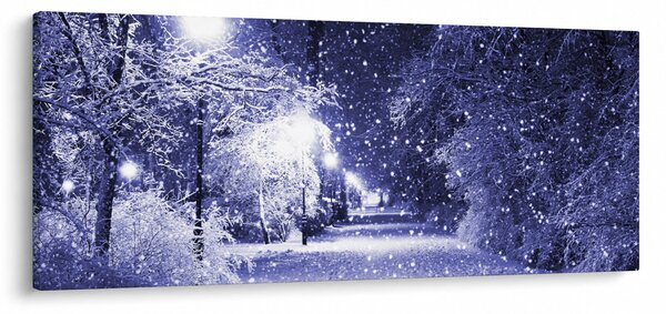 Obraz - Čarovná zimná noc (120x50 cm)