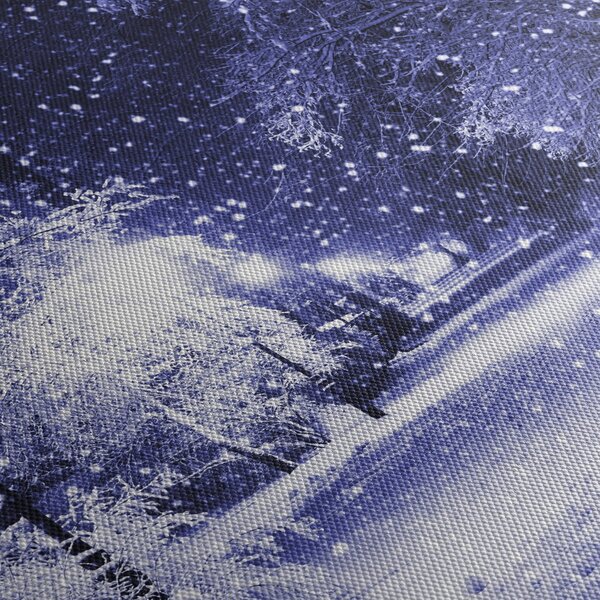Obraz - Čarovná zimná noc (120x50 cm)