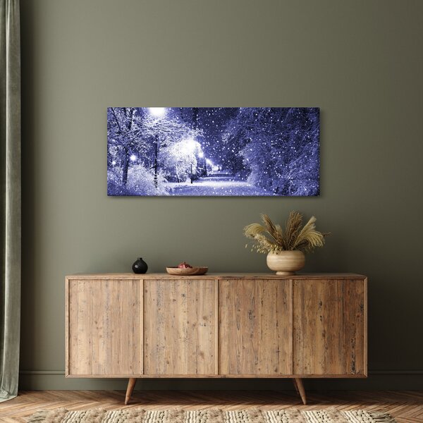 Obraz - Čarovná zimná noc (120x50 cm)