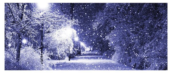 Obraz - Čarovná zimná noc (120x50 cm)
