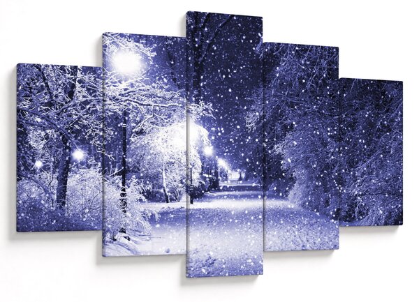 Obraz - Čarovná zimná noc (150x105 cm)