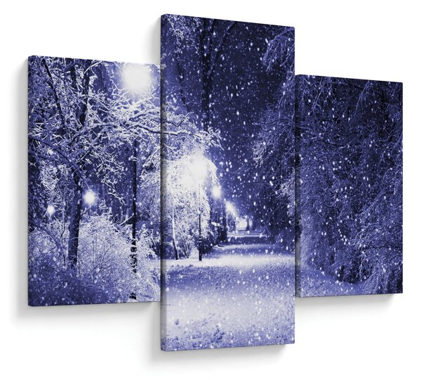 Obraz - Čarovná zimná noc (90x60 cm)