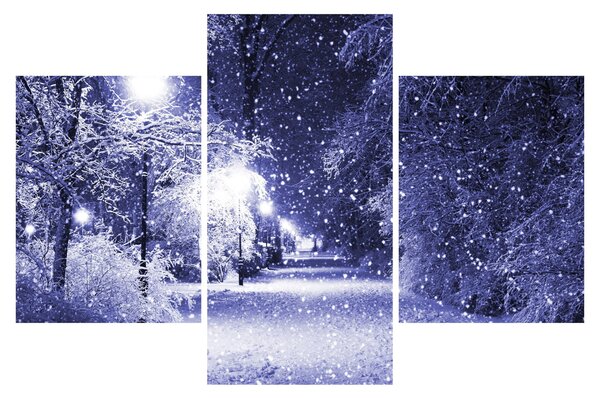 Obraz - Čarovná zimná noc (90x60 cm)