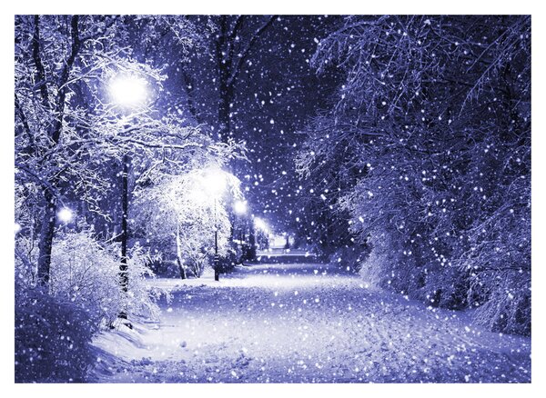 Obraz - Čarovná zimná noc (70x50 cm)