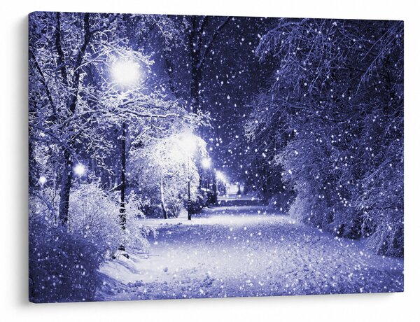 Obraz - Čarovná zimná noc (70x50 cm)