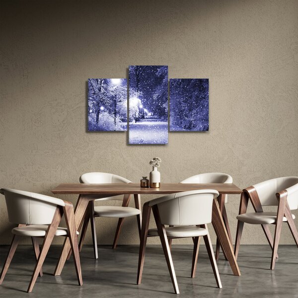 Obraz - Čarovná zimná noc (90x60 cm)