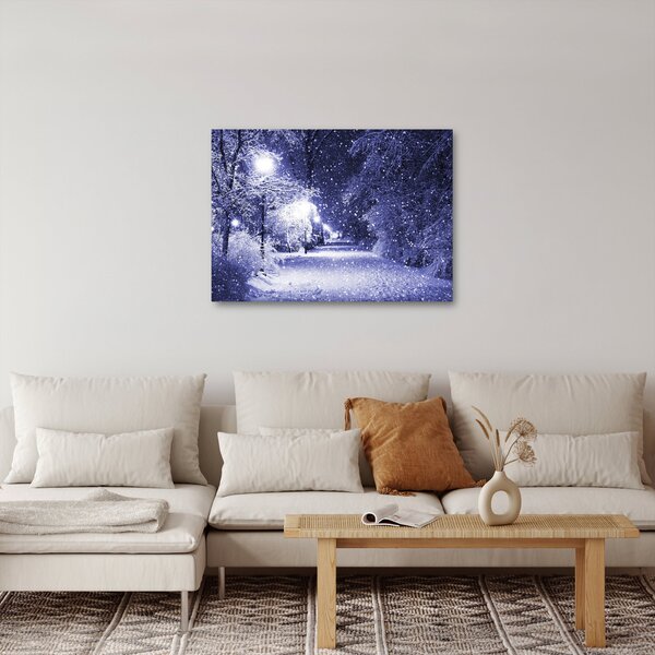 Obraz - Čarovná zimná noc (70x50 cm)