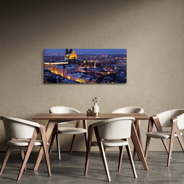 Obraz - Katedrála sv. Petra a Pavla, Brno, Česká Republika (120x50 cm)