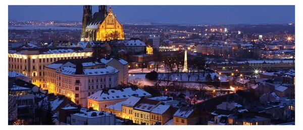 Obraz - Katedrála sv. Petra a Pavla, Brno, Česká Republika (120x50 cm)