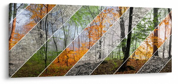 Obraz - Striedanie ročných období (120x50 cm)