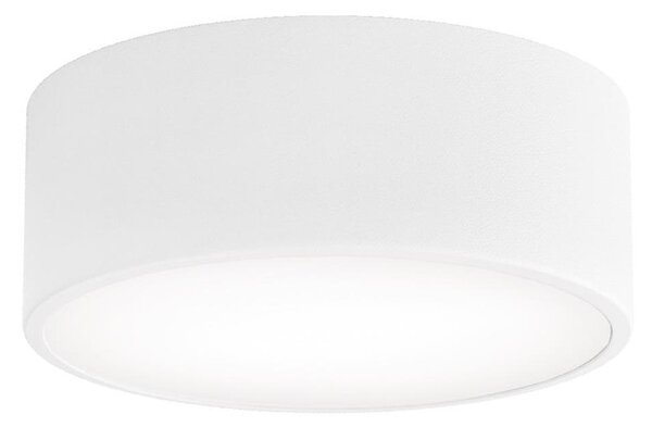 Kúpeľňové stropné svietidlo CLEO 1xE27/24W/230V pr. 20 cm biela IP54