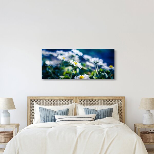 Obraz sedmokrások (120x50 cm)