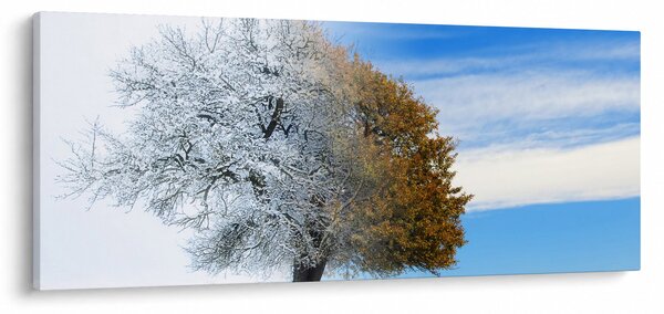 Obraz - Zmena ročného obdobia (120x50 cm)
