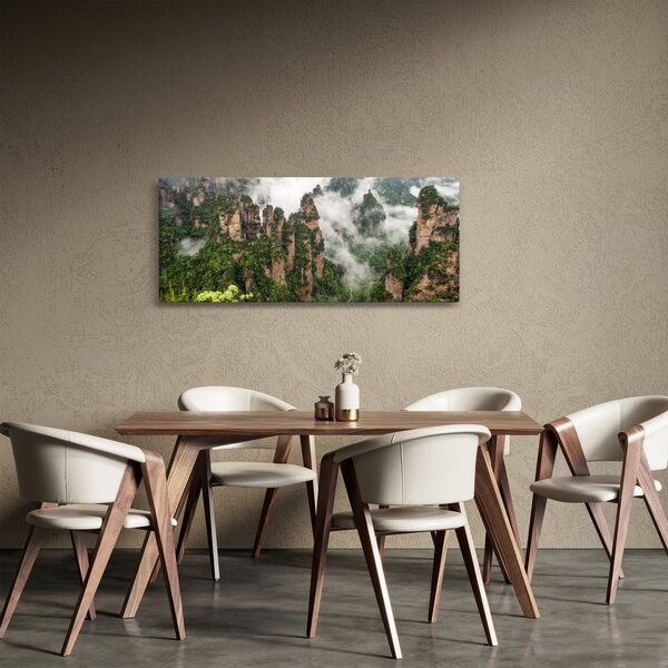 Obraz - National Park Zhangjiajie, Čína (120x50 cm)
