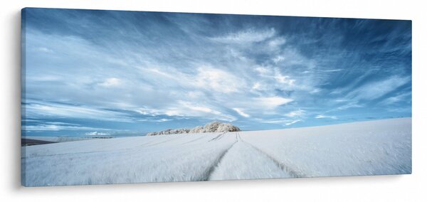 Obraz poľa (120x50 cm)