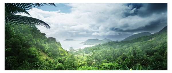 Obraz - Seychelská jungle (120x50 cm)