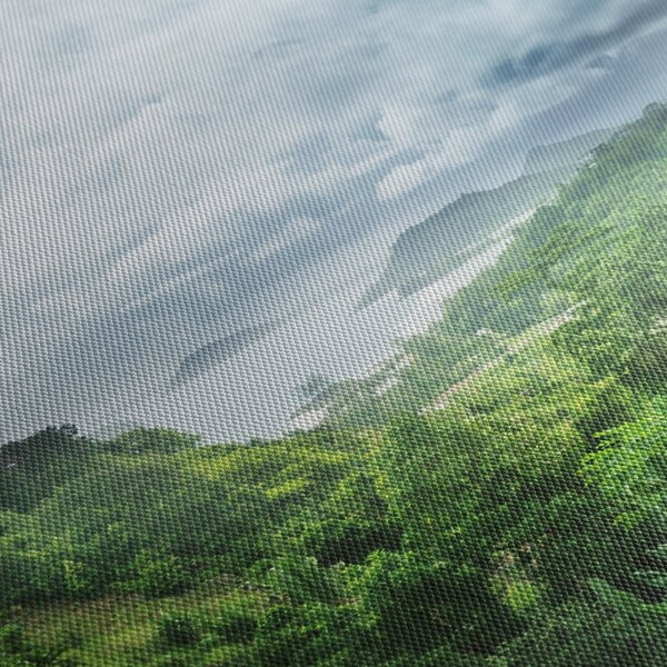Obraz - Seychelská jungle (90x60 cm)