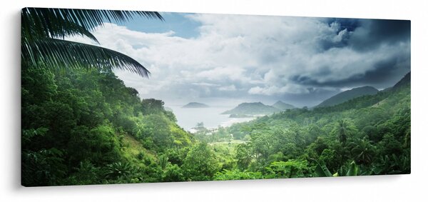 Obraz - Seychelská jungle (120x50 cm)