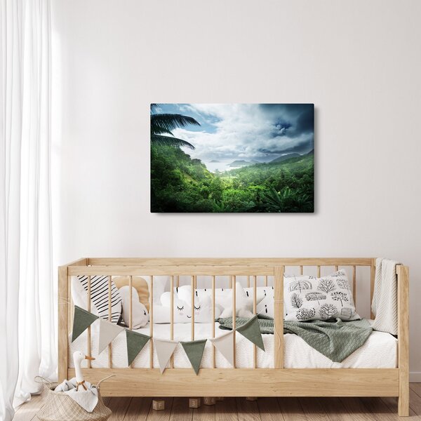 Obraz - Seychelská jungle (90x60 cm)