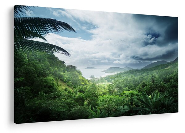 Obraz - Seychelská jungle (90x60 cm)