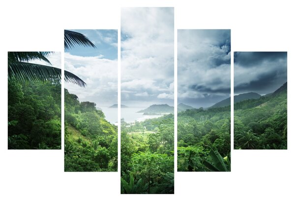 Obraz - Seychelská jungle (150x105 cm)