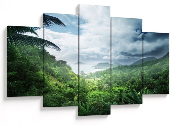 Obraz - Seychelská jungle (150x105 cm)