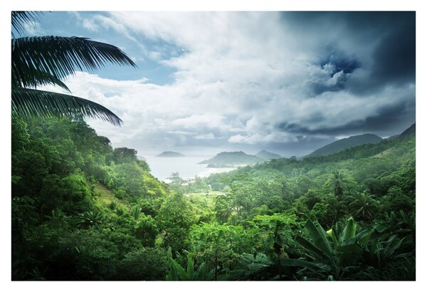 Obraz - Seychelská jungle (90x60 cm)