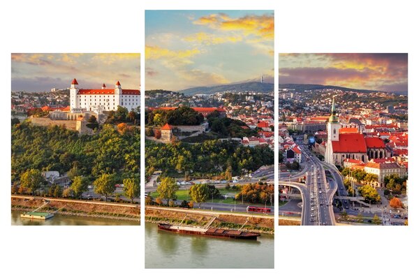 Obraz - Panorama Bratislavy, Slovensko (90x60 cm)