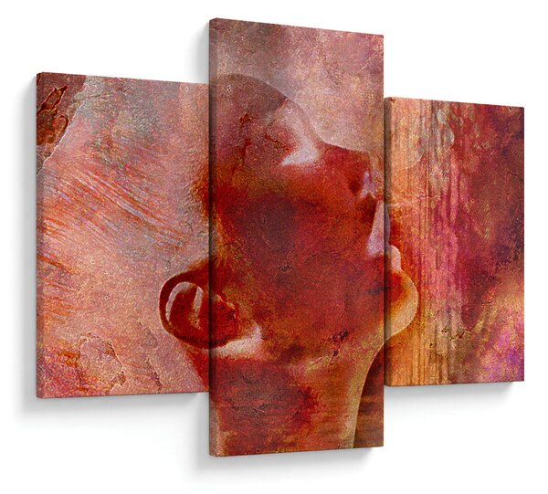 Obraz - Profil ženskej tváre (90x60 cm)