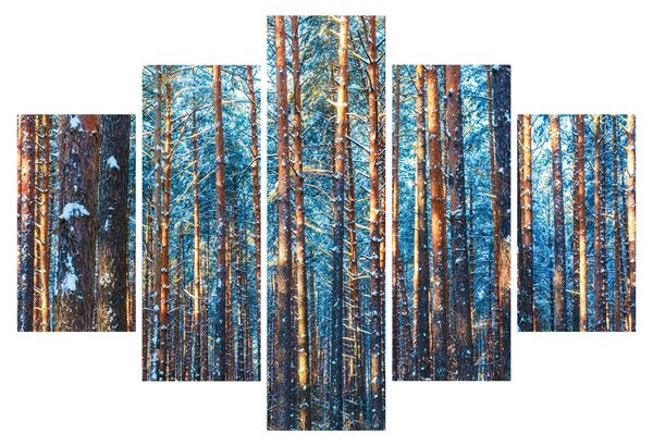 Obraz - Zimný les (150x105 cm)