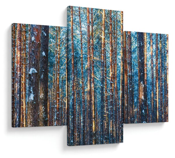 Obraz - Zimný les (90x60 cm)