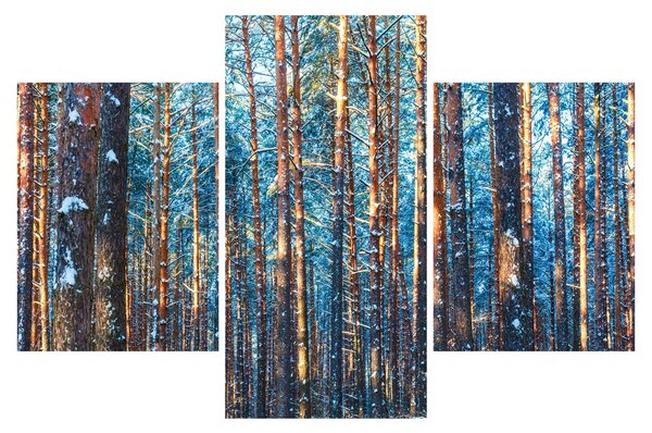 Obraz - Zimný les (90x60 cm)