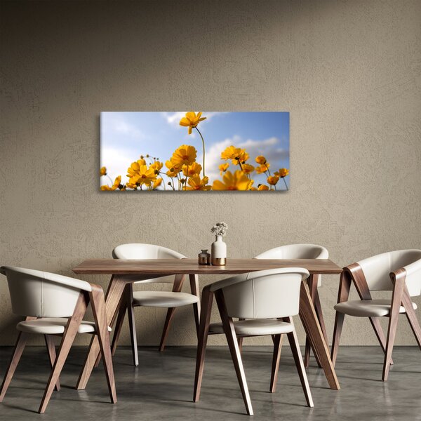 Obraz poľa s jasne žltými kvetmi (120x50 cm)