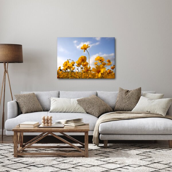 Obraz poľa s jasne žltými kvetmi (70x50 cm)
