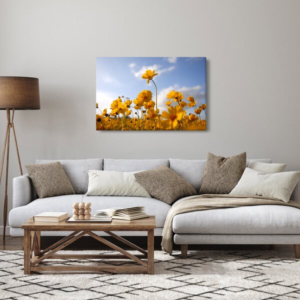 Obraz poľa s jasne žltými kvetmi (90x60 cm)