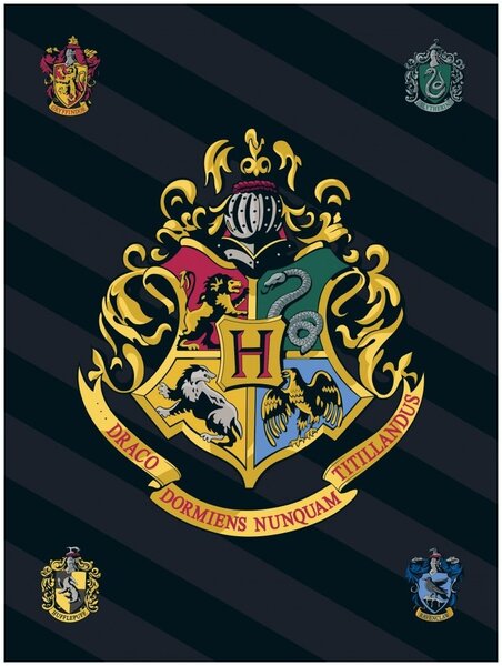 Fleecová deka Harry Potter s erbom školy čarodejníckej na Rokforte - Polar Fleece - 100 x 140 cm