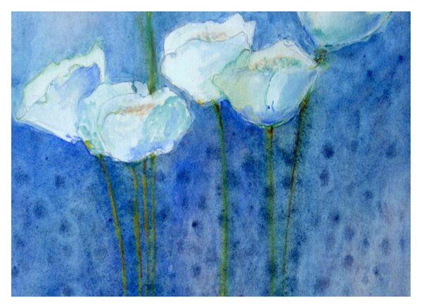 Obraz - Biele tulipány (70x50 cm)