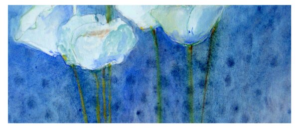 Obraz - Biele tulipány (120x50 cm)