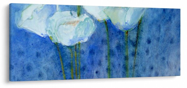 Obraz - Biele tulipány (120x50 cm)