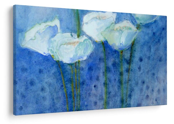 Obraz - Biele tulipány (90x60 cm)