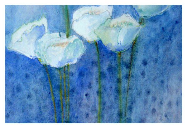 Obraz - Biele tulipány (90x60 cm)