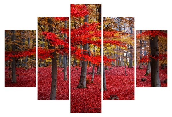 Obraz - Červený les (150x105 cm)